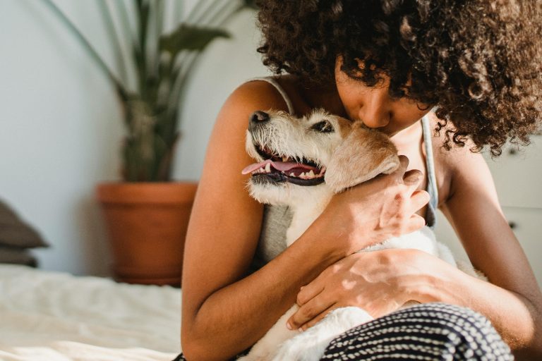 Beneficios del Cannabis Veterinario