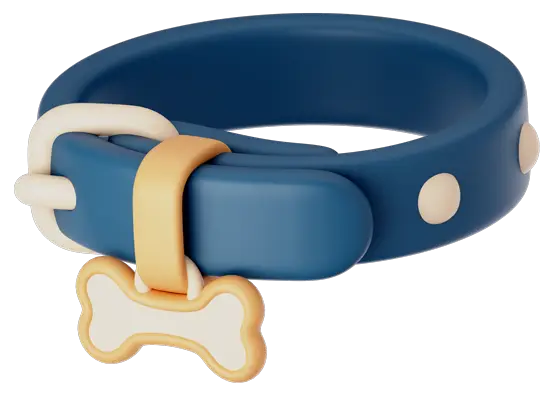 correa_accesorio_perros 