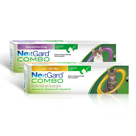NexGard Combo NexGard Combo para Gatos – Protección total en un solo paso