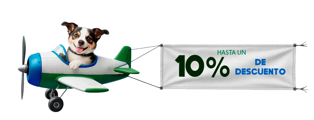 imagen mascota en avión tienda petnutriverse