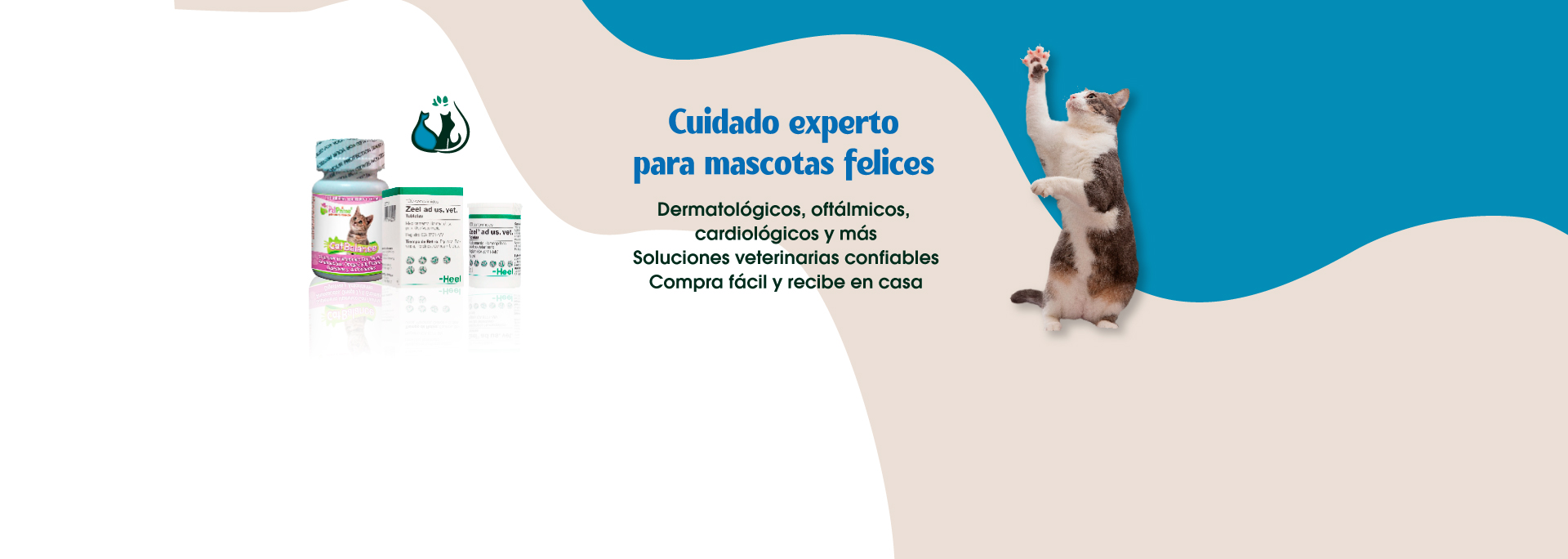 banner promocion mayo