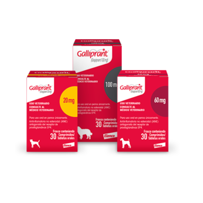 Galliprant para perros – apoyo en el manejo del dolor articular y la artrosis leve a moderada con galliprant