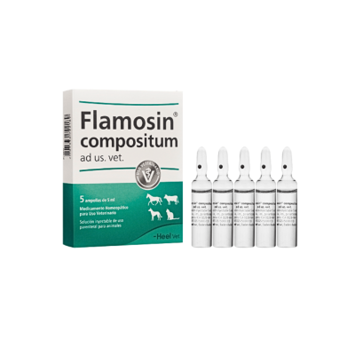 Flamosin Compositum veterinario – medicamento homeopático natural para fortalecer mucosas digestivas y respiratorias en mascotas.