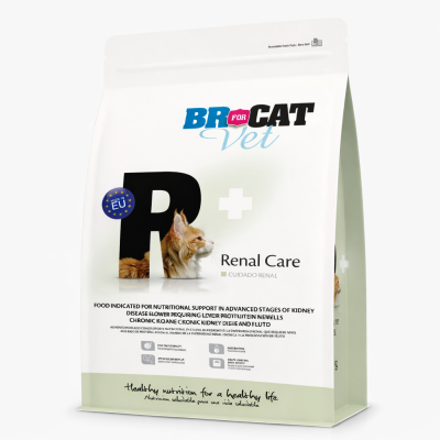 BR renal gato alimento renal para gatos BR Renal Care dieta medicada para enfermedad renal crónica felina y problemas renales